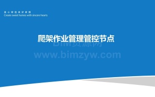 中天爬架BIM模型及爬架管理节点60页(参看)