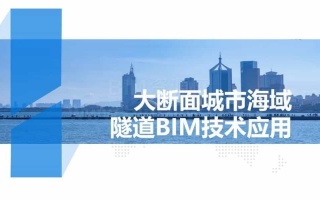 大断面城市海域隧道BIM技术应用(全套文件共包含BIM模型、汇报PPT及演示视频等)