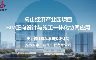 蜀山经济产业园项目BIM正向设计与施工一体化协同应用汇报ppt
