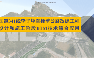 BIM技术在国道线李子坪至梗壁公路改建工程设计和施工阶段综合应用含BIM模型+汇报PPT