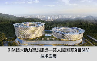 BIM技术在深圳市某人民医院项目中的应用全套文件包含BIM模型+PPT汇报+视频