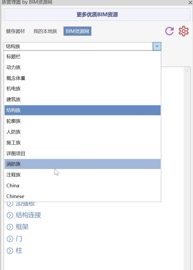 Revit族管理器下拉分类列表包含建筑族结构族施工族等分类
